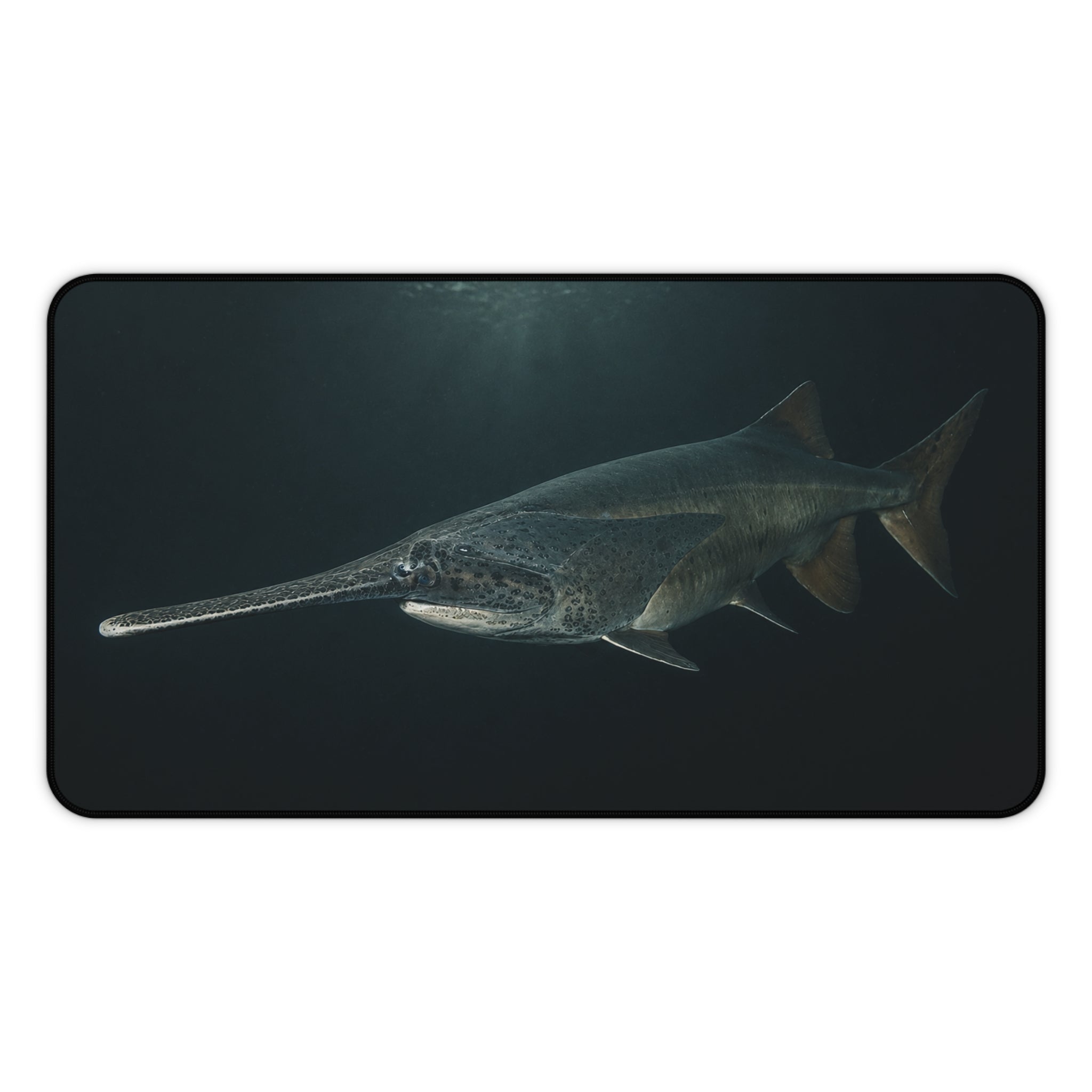 Paddlefish Desk Mat, Spoonbill Fish Mouse Pad, Underwater Fishing Artwork, Ancient River Fish Gaming Mat, Angler Gift