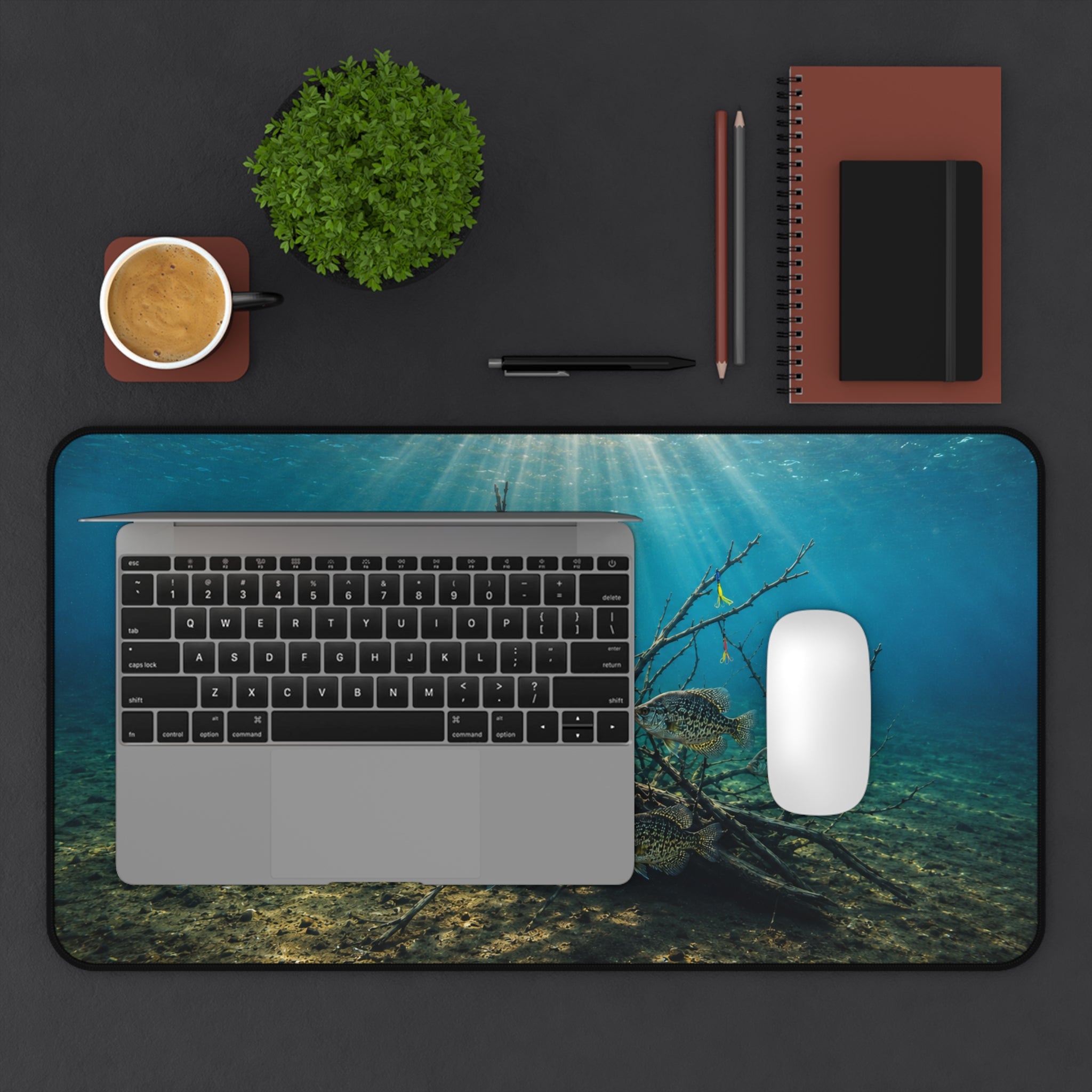 Underwater Sunbeams with Fish Desk Mat | Ocean Scene