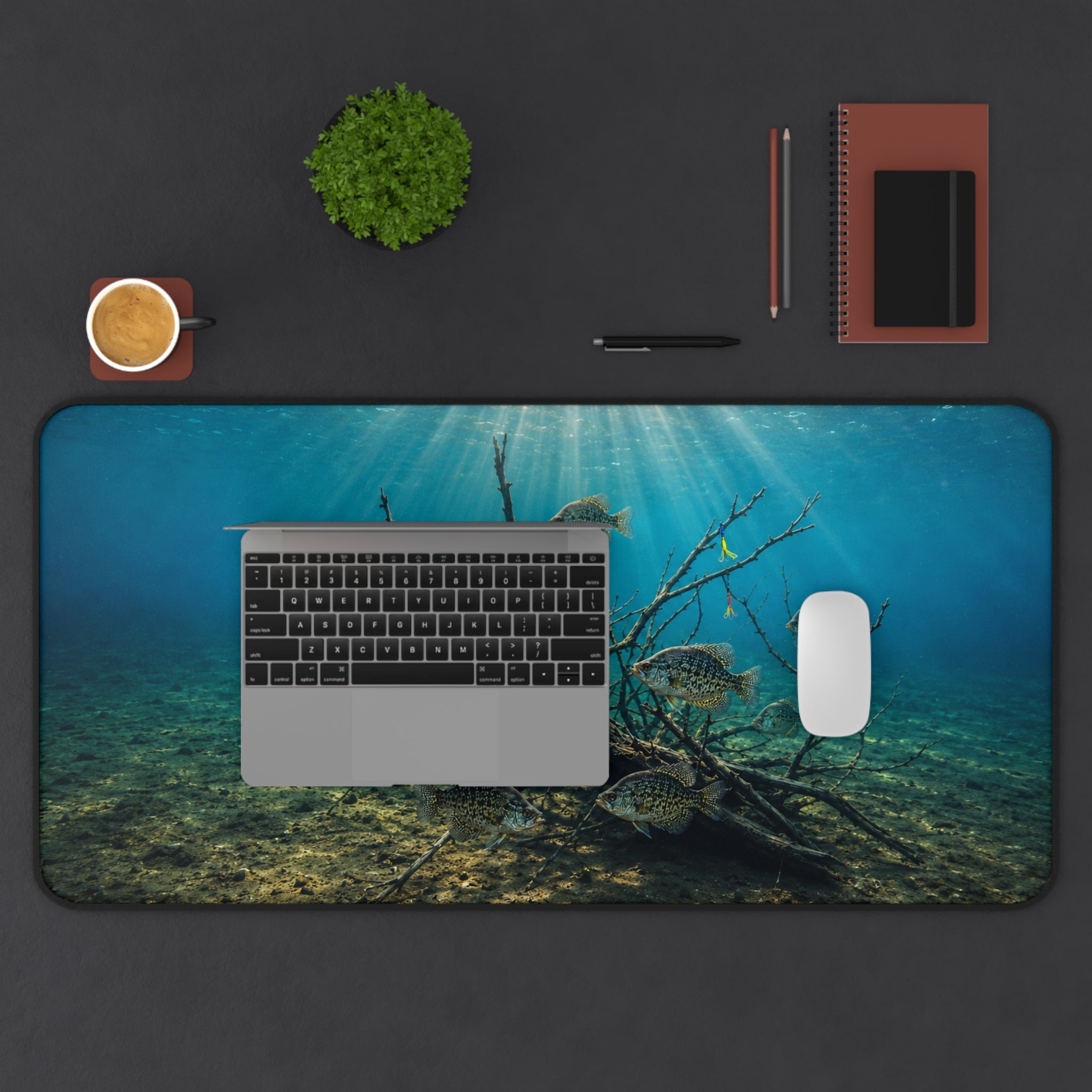 Underwater Sunbeams with Fish Desk Mat | Ocean Scene
